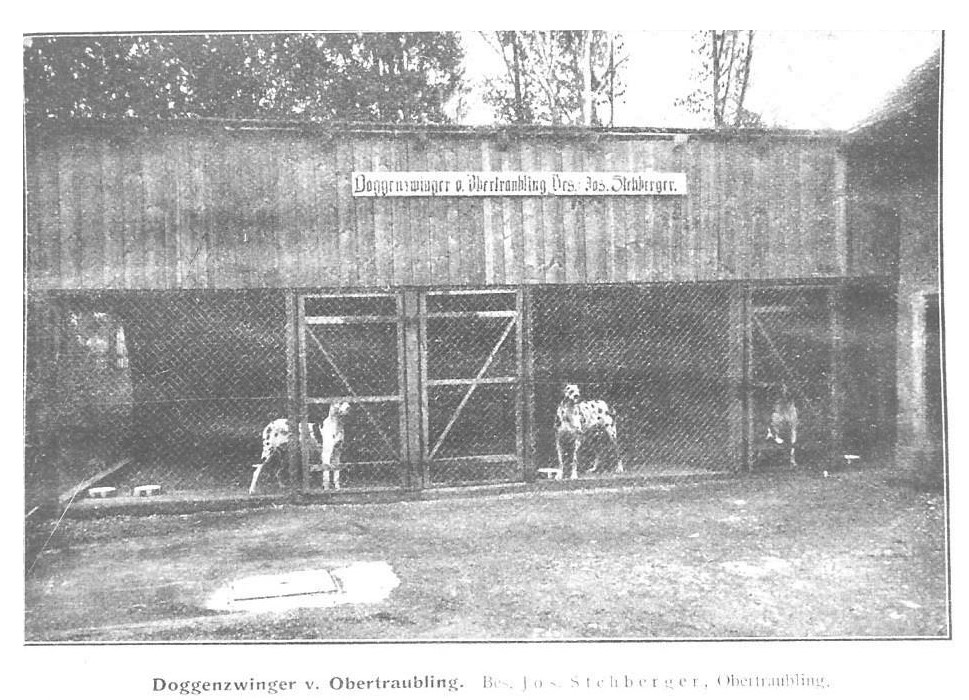 Obertraubling Kennels